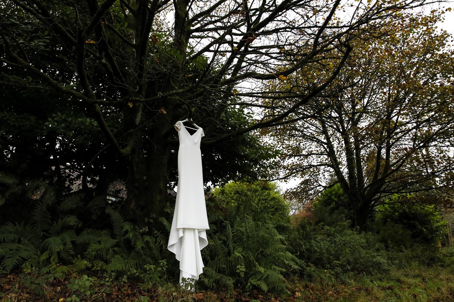 Wedding dress hanging from a tree