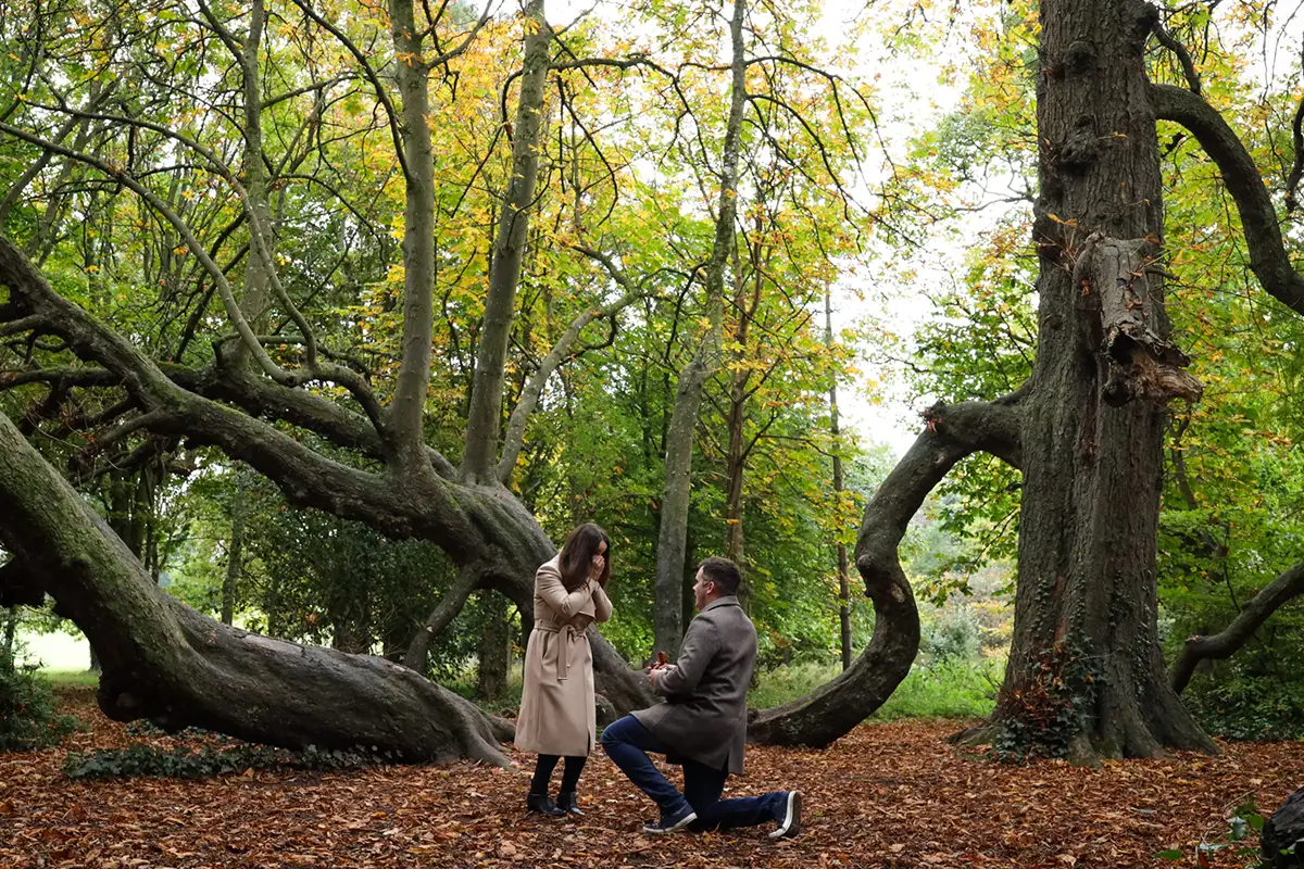Couple during a proposal in an irish forest